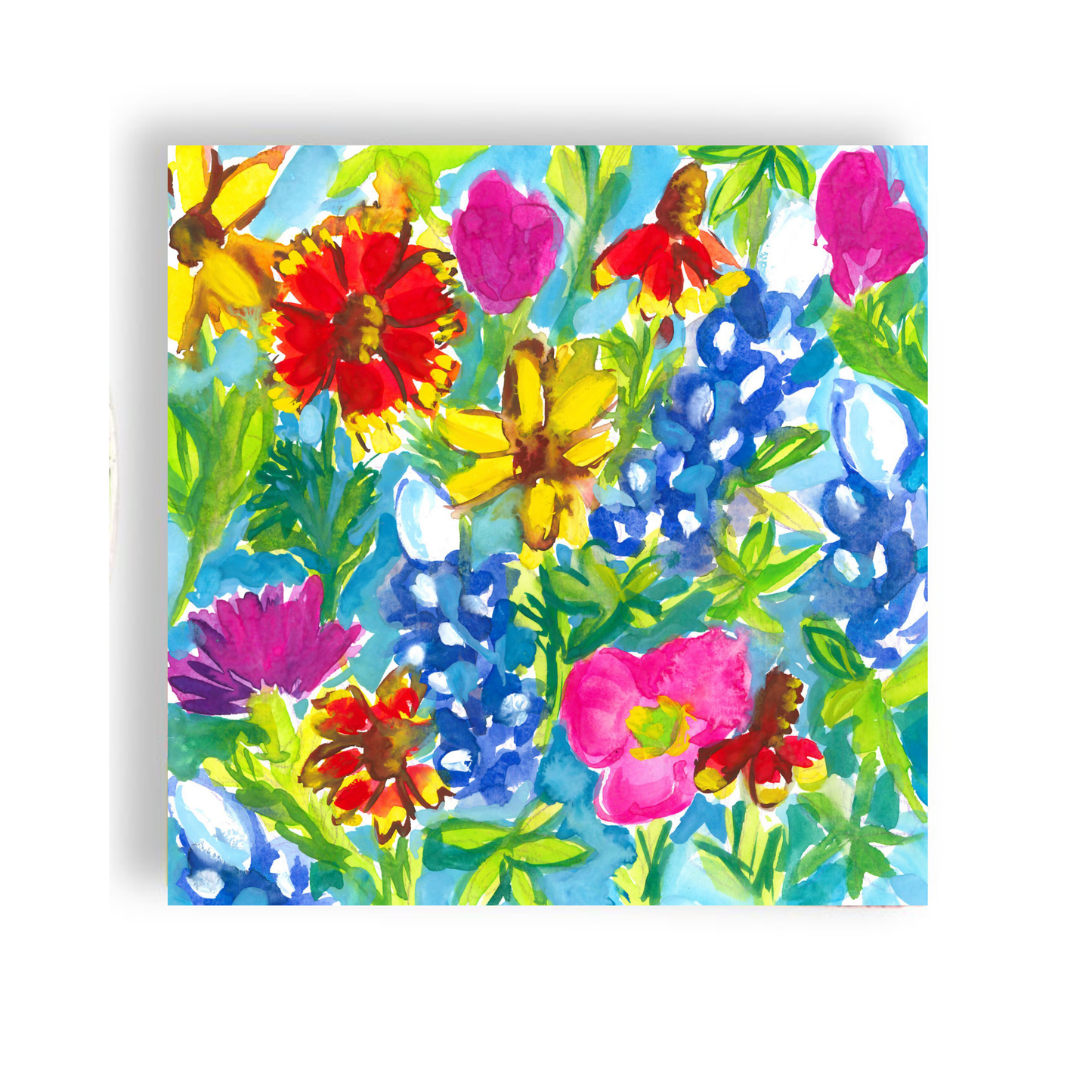 "Wild About Wildflowers"